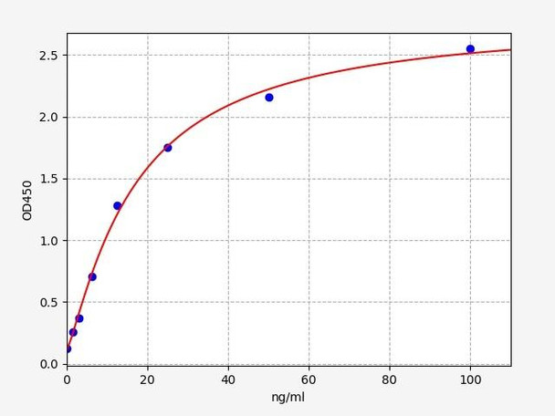 Rat Creatine Kinase MM/CKMM ELISA Kit (RTFI00198)