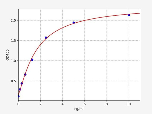 Rat DNA primase large subunit/PRIM2 ELISA Kit (RTFI00362)