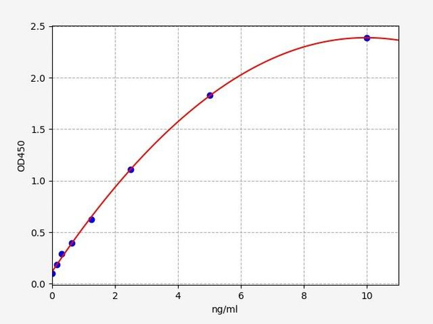 Rat Phosphoglycerate mutase 2/PGAM2 ELISA Kit (RTFI00419)