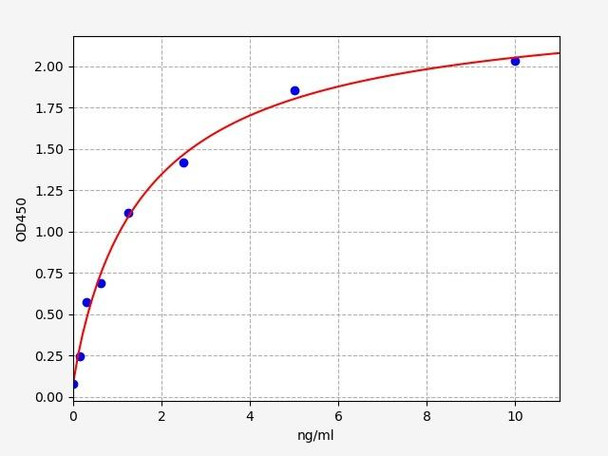 Rat MMP24 ELISA Kit (RTFI00967)