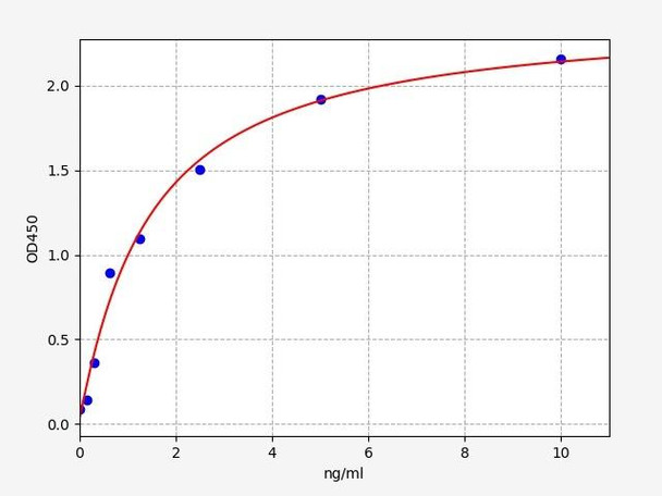 Rat PTEN ELISA Kit (RTFI01090)