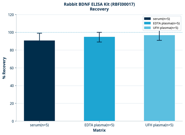 Rabbit BDNF ELISA Kit (RBFI00017)