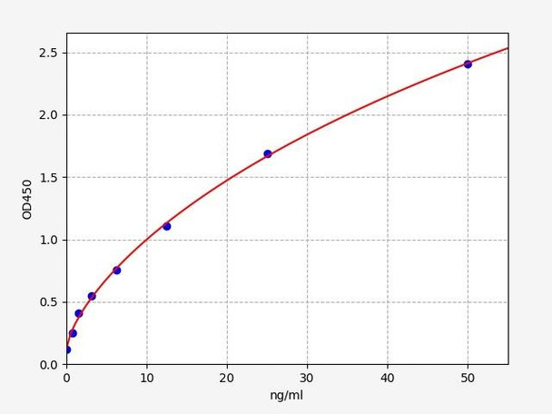 Mouse STAT4 ELISA Kit (MOFI01126)