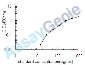 Human C-C motif chemokine 19 (CCL19) ELISA Kit (HUEB0059)