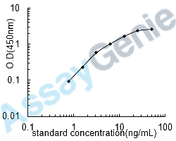 Human Prothrombin (F2) ELISA Kit (HUEB0326)