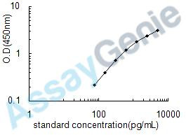 Human Chemokine XC receptor 1 (XCR1) ELISA Kit (HUEB0407)