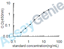 Human Lysyl-tRNA synthetase (KARS) ELISA Kit (HUEB0466)