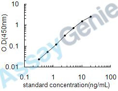 Human Calnexin (CANX) ELISA Kit (HUEB0544)