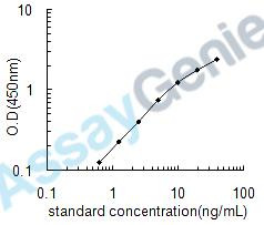 Human Insulin receptor substrate 2 (IRS2) ELISA Kit (HUEB0550)