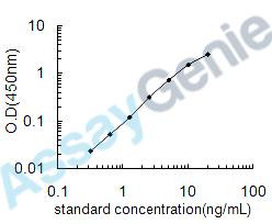 Human Necdin (NDN) ELISA Kit (HUEB0606)