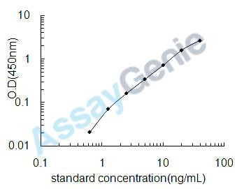 Human Kallikrein-10 (KLK10) ELISA Kit (HUEB0810)