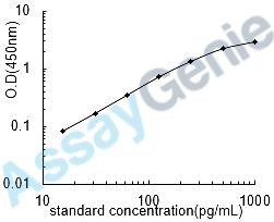 Human Glycogen phosphorylase, brain form (PYGB) ELISA Kit (HUEB0882)