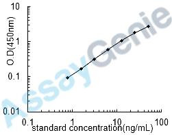 Human Coagulation factor XI (F11) ELISA Kit (HUEB0885)