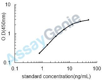 Human 25-hydroxyvitamin D-1 alpha hydroxylase, mitochondrial (CYP27B1) ELISA Kit (HUEB0989)