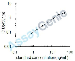 Human Gamma-synuclein (SNCG) ELISA Kit (HUEB1334)