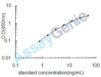 Human Dopamine beta-hydroxylase (DBH) ELISA Kit (HUEB1514)