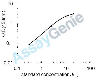 Human Sorbitol dehydrogenase (SORD) ELISA Kit (HUEB1621)