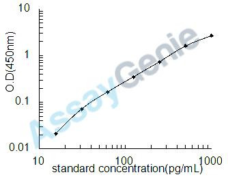 Human IL-32 ELISA Kit (HUEB1958)