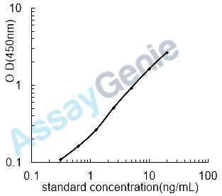 Human Forkhead box protein P3 (FOXP3) ELISA Kit (HUEB2005)