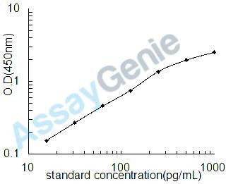 Human Artemin (ARTN) ELISA Kit (HUEB2148)