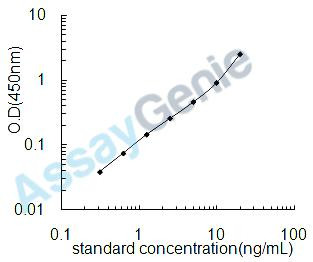 Human Mothers against decapentaplegic homolog 2 (SMAD2) ELISA Kit (HUEB2238)