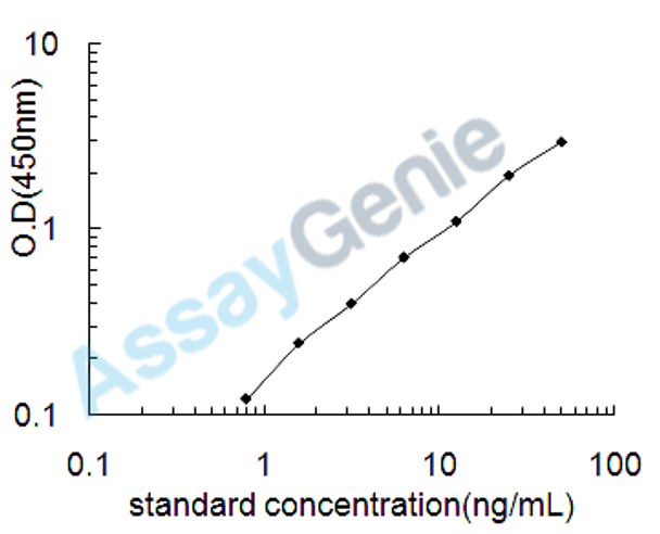 Human Spermine oxidase (SMOX) ELISA Kit (HUEB2305)