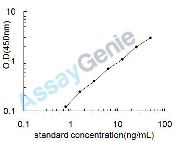 Human Spermine oxidase (SMOX) ELISA Kit (HUEB2305)
