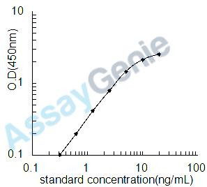 Human Protein Wnt-10b (WNT10B) ELISA Kit (HUEB2465)