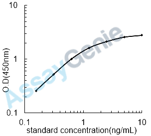 Human Transforming protein RhoA (RHOA) ELISA Kit (HUEB2667)
