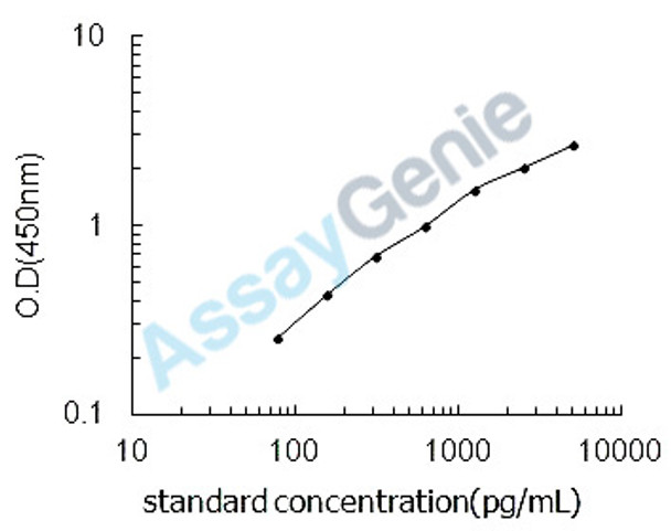 Mouse Transcription factor Maf (Maf) ELISA Kit (MOEB0980)