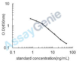 Horse N (6)-Carboxymethyllysine (CML) ELISA Kit (HREB0081)