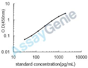 Rat Interferon beta (Ifnb1) ELISA Kit (RTEB0159)
