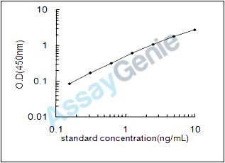 Rat Dual specificity protein phosphatase 5 (Dusp5) ELISA Kit (RTEB0273)
