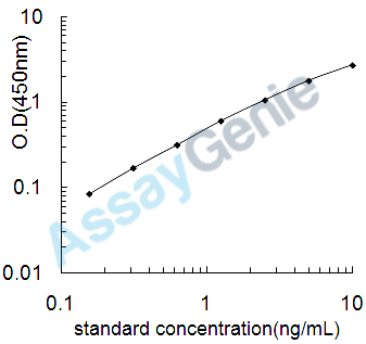 Rat Transgelin-2 (Tagln2) ELISA Kit (RTEB0282)