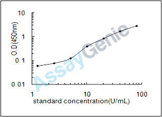 Rat Creatine kinase M-type (Ckm) ELISA Kit (RTEB0300)