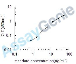 Rat Matrix metalloproteinase-9 (Mmp9) ELISA Kit (RTEB0331)