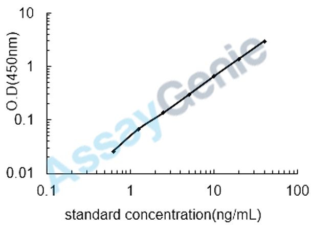 Rat Kallikrein-8 (Klk8) ELISA Kit (RTEB0405)