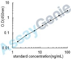 Rat Apoptosis regulator Bcl-2 (Bcl2) ELISA Kit (RTEB0450)