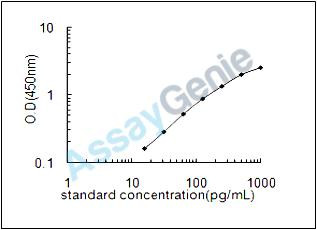 Rat Glycogen phosphorylase, brain form (Pygb) ELISA Kit (RTEB0485)
