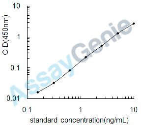 Rat Heat shock 70 kDa protein 1A/1B (Hspa1a) ELISA Kit (RTEB0496)