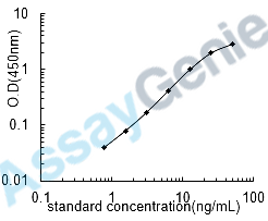 Rat Histone deacetylase 1 (Hdac1) ELISA Kit (RTEB0500)