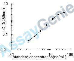 Rat Histone deacetylase 1 (Hdac1) ELISA Kit (RTEB0500)