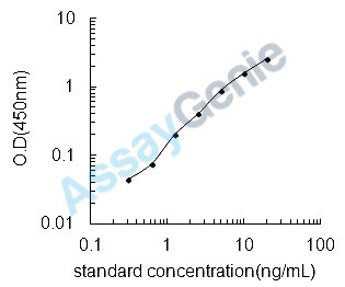 Rat Bone sialoprotein 2 (Ibsp) ELISA Kit (RTEB0647)