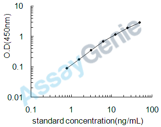 Rat Glutamate--cysteine ligase catalytic subunit (Gclc) ELISA Kit (RTEB0940)