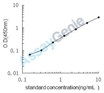 Rat Growth/differentiation factor 8 (Mstn) ELISA Kit (RTEB1147)