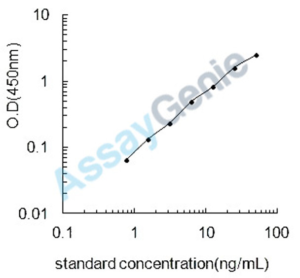 Rat Fascin (Fscn1) ELISA Kit (RTEB1193)