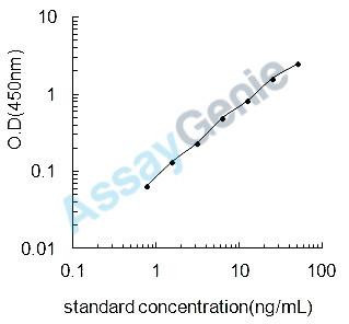 Rat Fascin (Fscn1) ELISA Kit (RTEB1193)