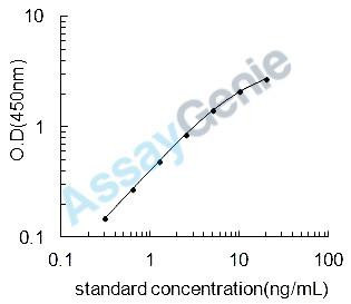 Rat Thyroid hormone receptor alpha (Thra) ELISA Kit (RTEB1277)