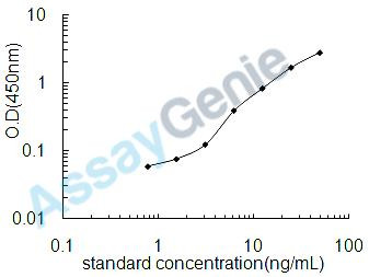 Rat Synaptophysin (Syp) ELISA Kit (RTEB1414)