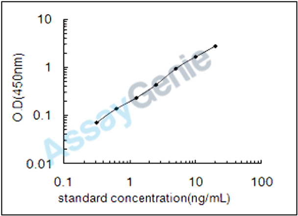 Rat Dipeptidyl peptidase 1 (Ctsc) ELISA Kit (RTEB1507)